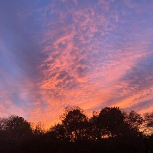 Meet your Posher, Rodolfo